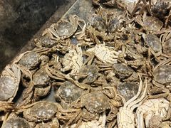 -海天一色海景自助餐厅(西港花园店)