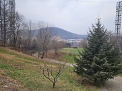 -帽儿山风景区