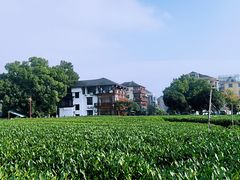 -听风阁农家私房菜茶楼(龙坞店)