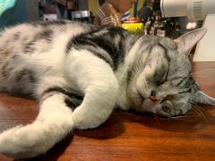 -咖法森林·咖啡  酒吧(天河店)