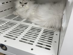 -瑞鹏宠物医院·微创内窥镜·骨外科·牙科(翠竹分院)