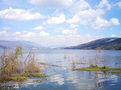-阳宗海湿地