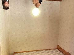 -金山农民画村-枫泾波兰倒置屋