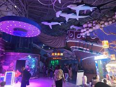 -烟台海昌鲸鲨海洋公园