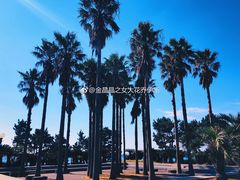 -柱状节理带