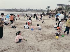 -九龙湖公园