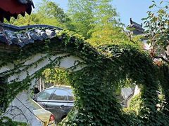 -老张烤羊(王哥庄店)