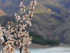 -北岳恒山
