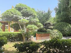 -郑州银基黄帝宫御温泉