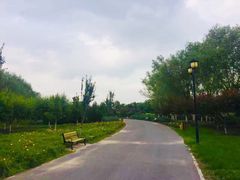 -永定河休闲森林公园