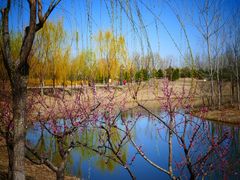 -东郊湿地公园