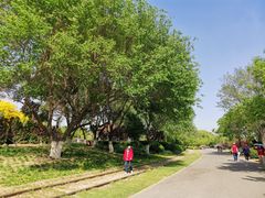 -永定河休闲森林公园