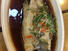 清蒸鲈鱼-台北楚楚园馅饼粥(虹桥南丰城店)
