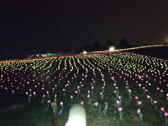 -秀丽东方