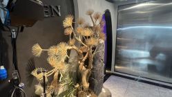 -TOP HAIR SALON