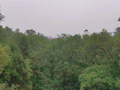 -南山植物园
