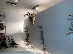-尤加利咖啡馆