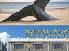 -烟台海昌鲸鲨海洋公园