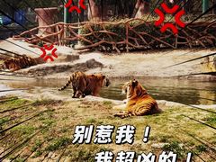 -常州淹城野生动物世界