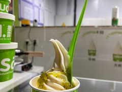 -Salud撒露欧洲冻酸奶(北苑上品店)