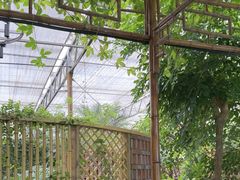 -金稼园·金平湖农家菜