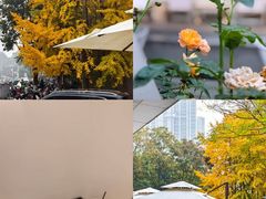 -Beans Solo豆号咖啡(百家湖花园店)