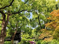 -惠山古镇·寄畅园