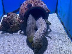 -大连老虎滩海洋公园