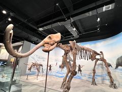 -辽宁古生物博物馆
