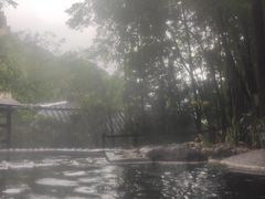 -花水湾第一村温泉大酒店