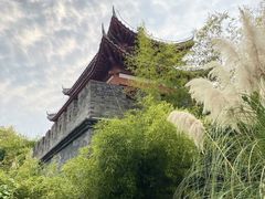 -武汉园博园(武汉自然博物馆)