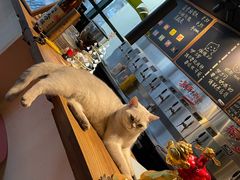-后院儿·精酿·塔罗Happy Bar