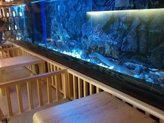 -石葵(锦业时代店)