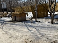 -1982农场