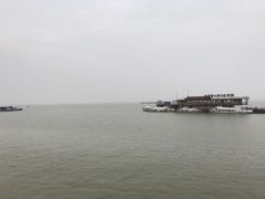 -湖南东洞庭湖国家级自然保护区