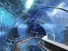 -石家庄海洋公园