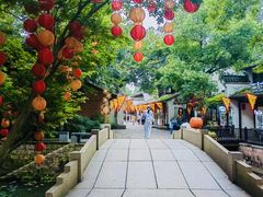 -西溪国家湿地公园