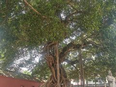 -闽粤南澳总镇府
