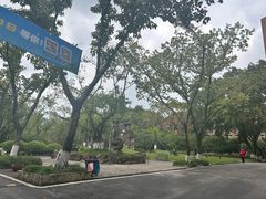 -黄桷坪涂鸦艺术街