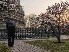 -玲珑塔公园