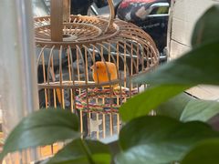 -Egg•Allday Brunch(襄阳北路店)