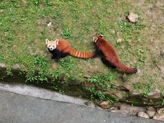 -西安秦岭野生动物园