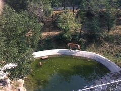 -石家庄市动物园