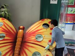 -上海昆虫博物馆