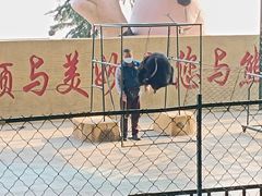 -东方熊牧场