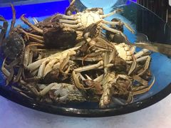 -加餐海鲜自助(宝龙一城店)