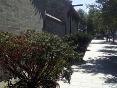 -Tube station站点比萨(王府井百货店)