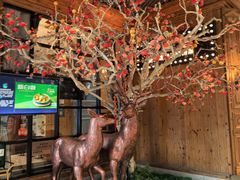 -新白鹿餐厅(城西银泰城店)