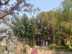 -桃花岛景观公园