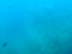 -亚龙湾海底世界